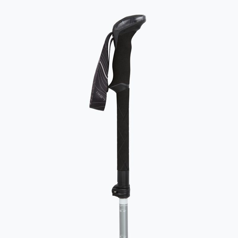 Bastoncini da trekking LEKI Makalu FX TA silver/greygreen/white 2