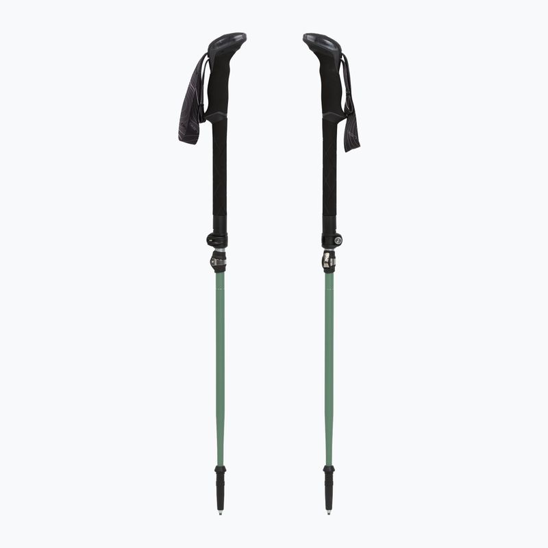 Bastoncini da trekking LEKI Makalu FX TA silver/greygreen/white 5