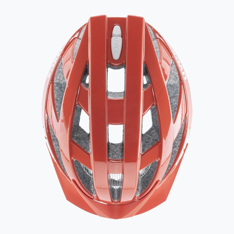 UVEX casco da bici I-vo 3D pompelmo 5