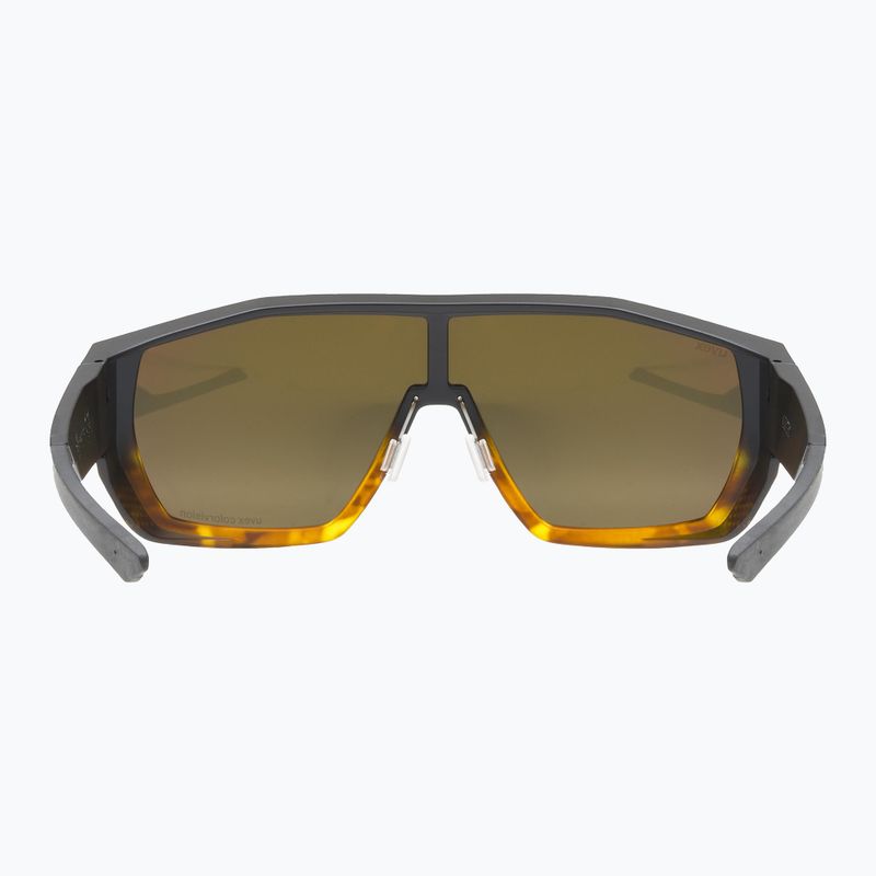 Occhiali da sole UVEX Mtn Style CV havanna matt fade/mirror champagne 3