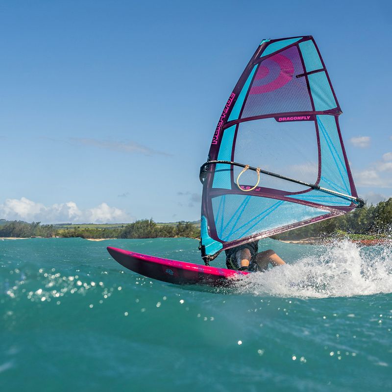 Vela da windsurf NeilPryde Sail Dragonfly HD C1 2