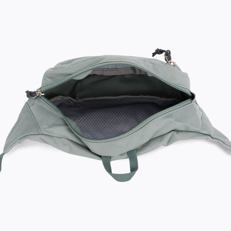 Deuter Urban Belt 1,5 l salvia borsa da rene 3