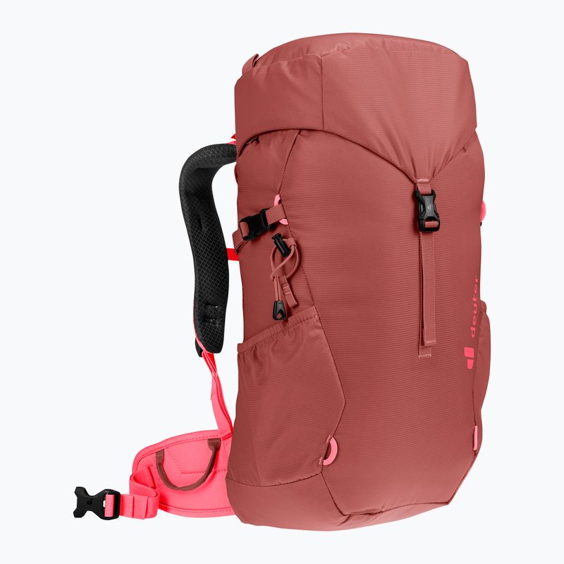 Zaino da trekking per bambini Deuter Climber 22 l sequoia/hibiscus 2
