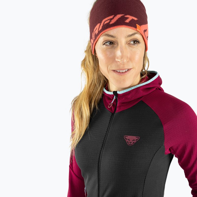 Fascia DYNAFIT Leopard Logo dawn/1730 2