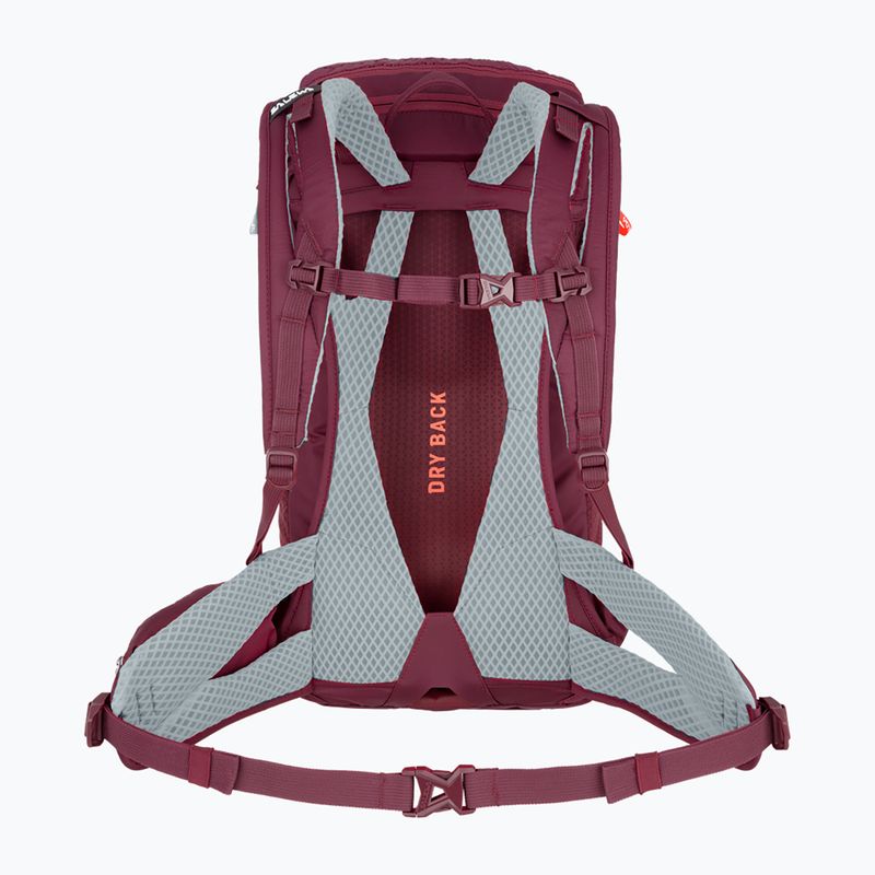 Zaino da trekking da donna Salewa Alp Trainer 20 l viola scuro 2