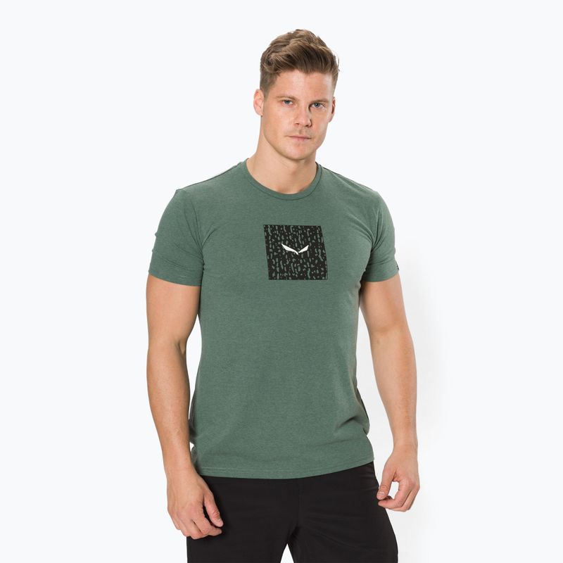 Camicia da trekking Salewa Pure Box Dry verde grezzo melange da uomo