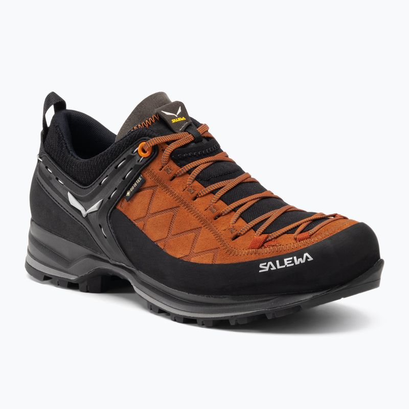 Stivali da trekking da uomo Salewa MTN Trainer 2 GTX autunno/nero