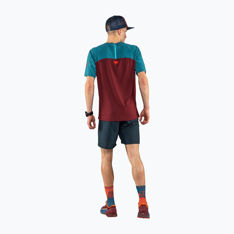 Camicia da corsa DYNAFIT Alpine Pro syrah da uomo 2