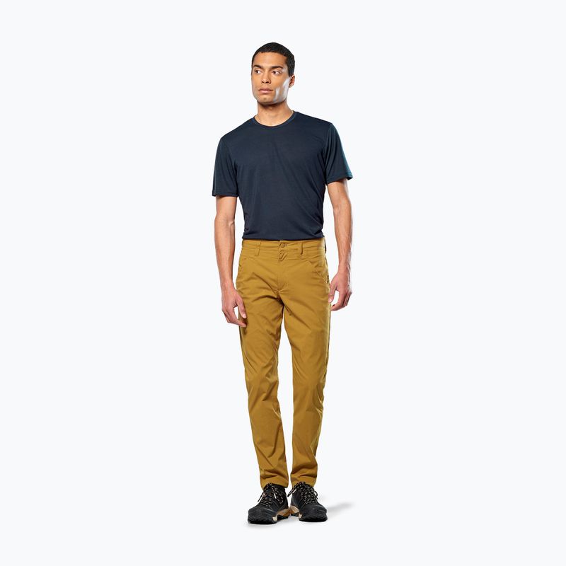 Pantaloni da trekking da uomo Salewa Fanes Marrone chiaro dorato 2