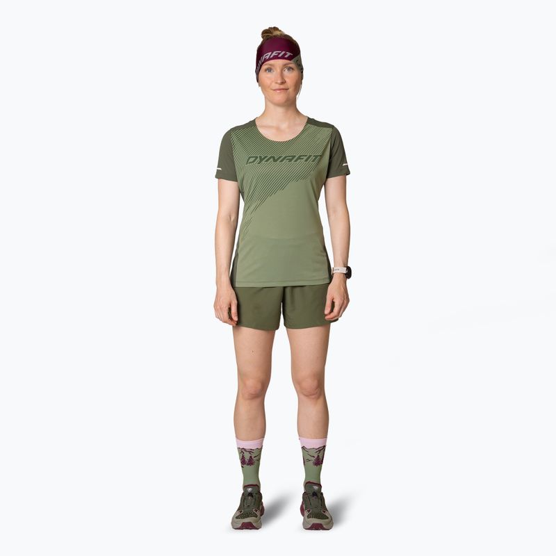 Maglietta da corsa DYNAFIT Alpine 2 Tee donna color salvia 2