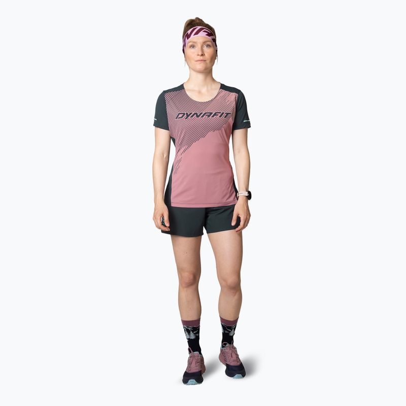 Maglietta da corsa DYNAFIT Alpine 2 Tee donna mokarosa 2