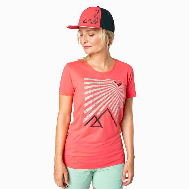 Berretto da baseball DYNAFIT Tech Trucker cabana 2
