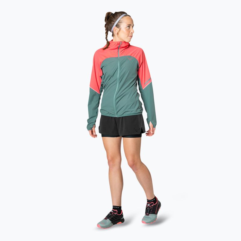 Giacca da corsa DYNAFIT Alpine Wind cabana atlantic donna 3