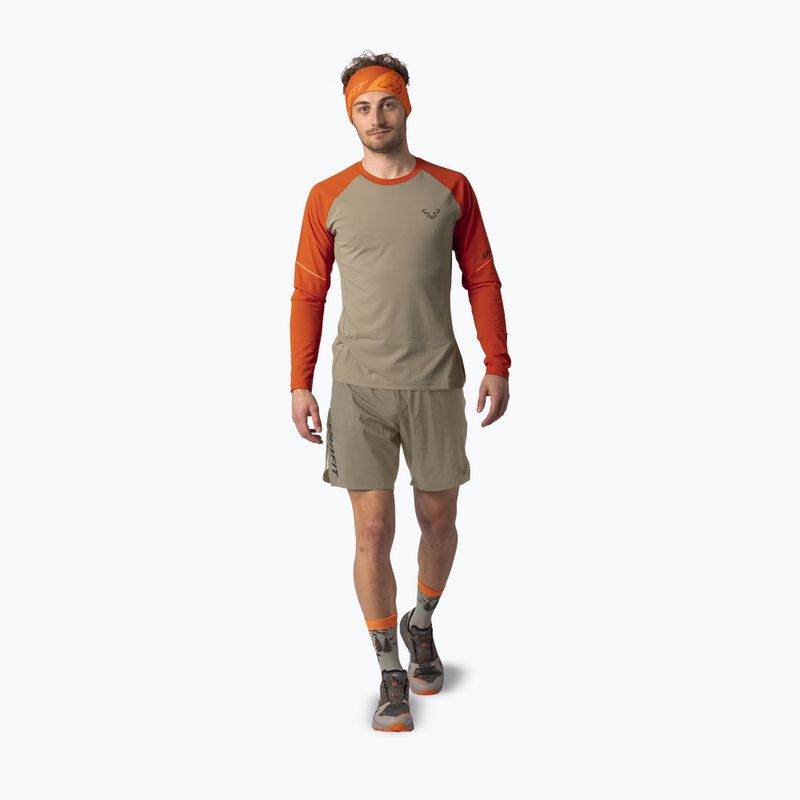 Maglia a maniche lunghe da corsa uomo DYNAFIT Alpine Pro Alabama/5490i 2