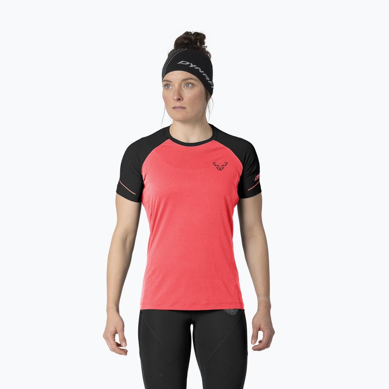 Maglia da running donna DYNAFIT Alpine Pro ultra coral/0936