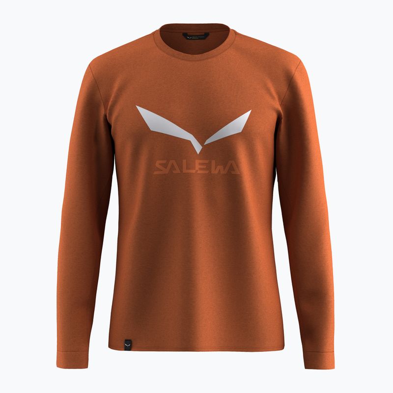 Maglia a maniche lunghe da uomo Salewa Solidlogo Dry bombay brown