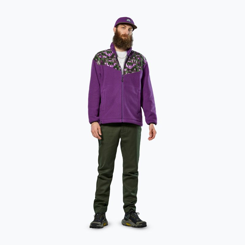 Felpa da trekking Salewa Eagle Anniversary plum 2
