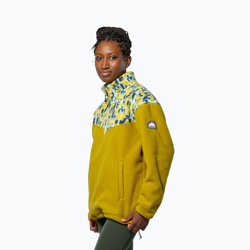Felpa Salewa Eagle Anniversary Full Zip olio d'oliva