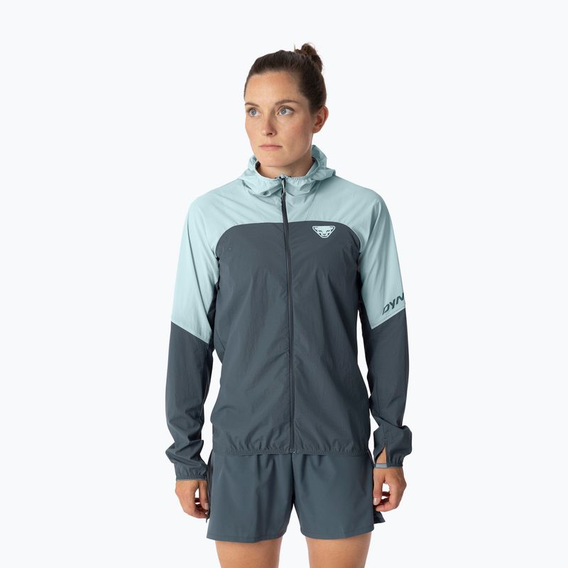 Giacca da running da donna DYNAFIT Alpine Wind cloud blue/0720