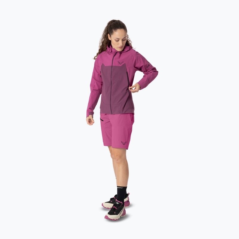 Giacca softshell da donna DYNAFIT Transalper Dynastretch magenta/6a70 2