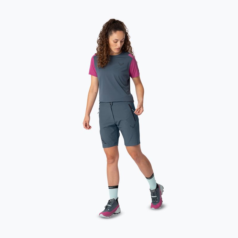 Pantaloncini da trekking da uomo DYNAFIT Transalper Light Dynastretch cinder/0910 2