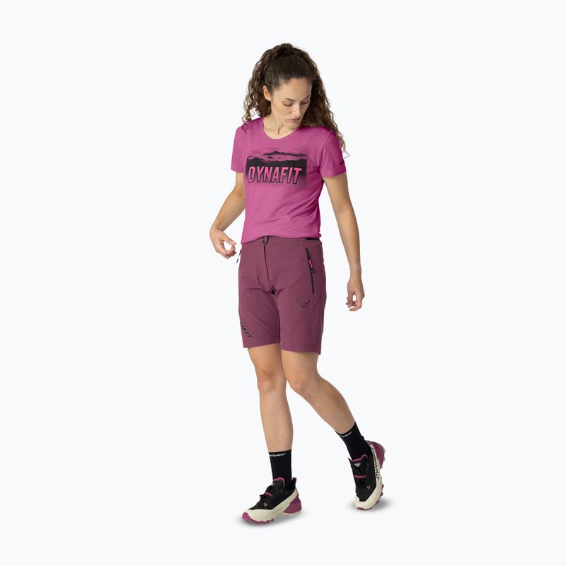 Pantaloncini da trekking da donna DYNAFIT Transalper Light Dynastretch amaranth/0910 2