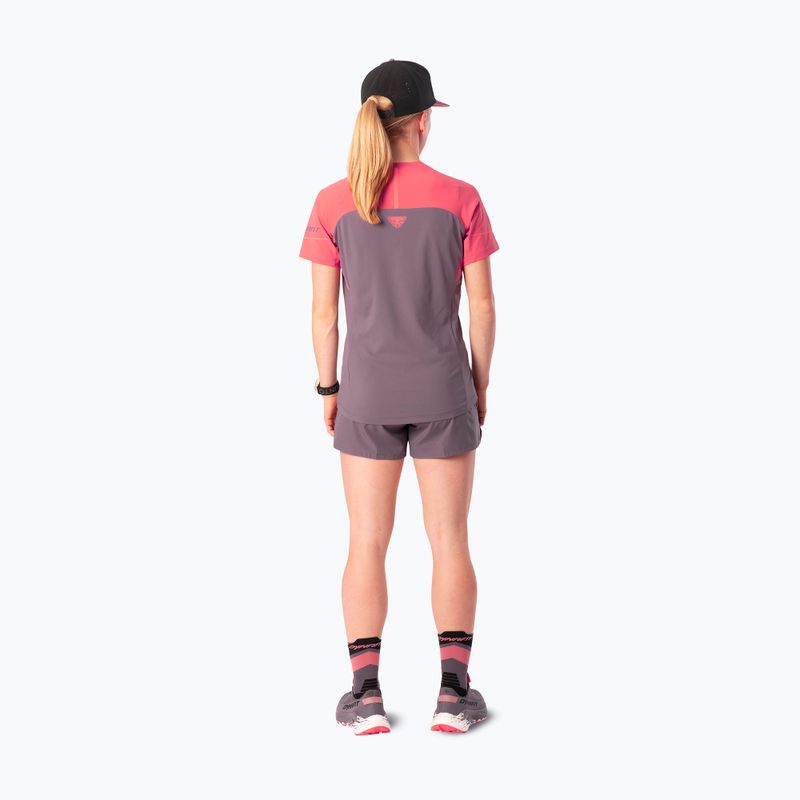 Maglia da running da donna Dynafit Alpine Pro SS Tee cabana/6A90 2