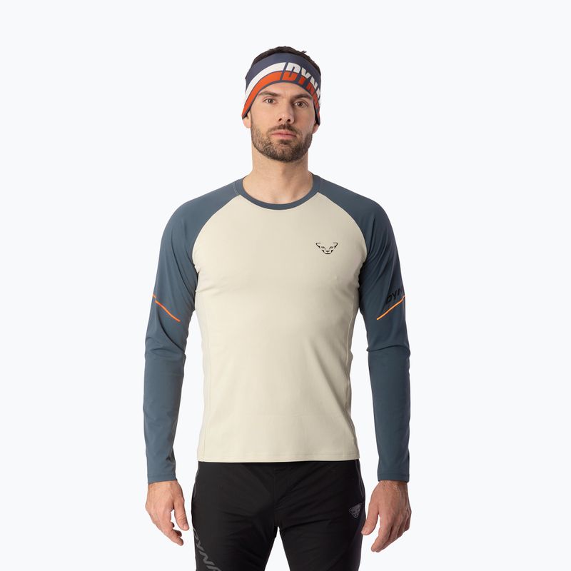 Longsleeve da running uomo DYNAFIT Alpine Pro cinder overcast/7960