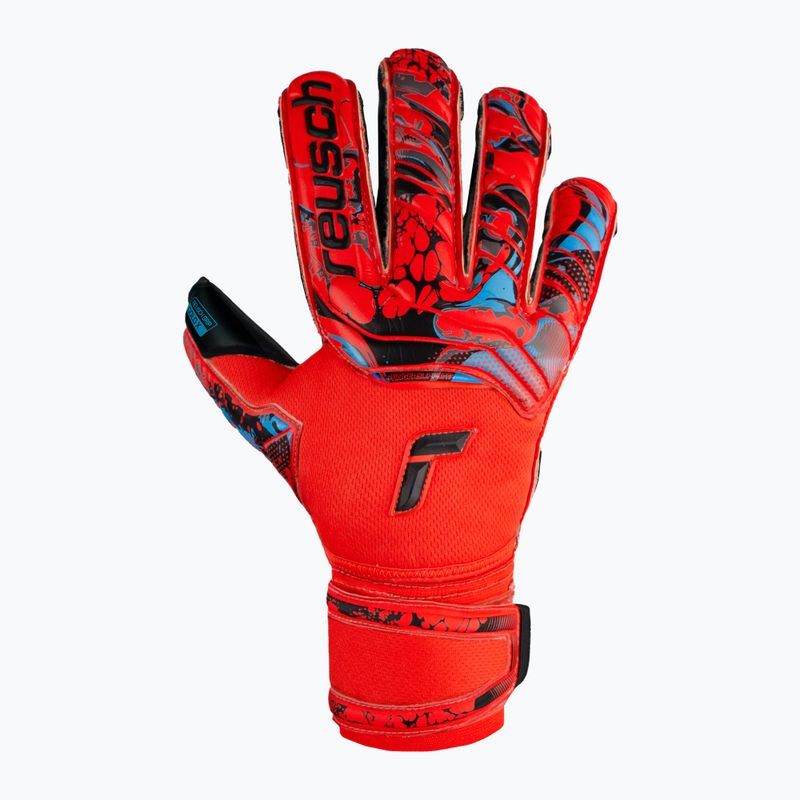 Guanto da portiere Reusch Attrakt Gold X Evolution Cut Finger Support rosso brillante/blu futuro/nero 4