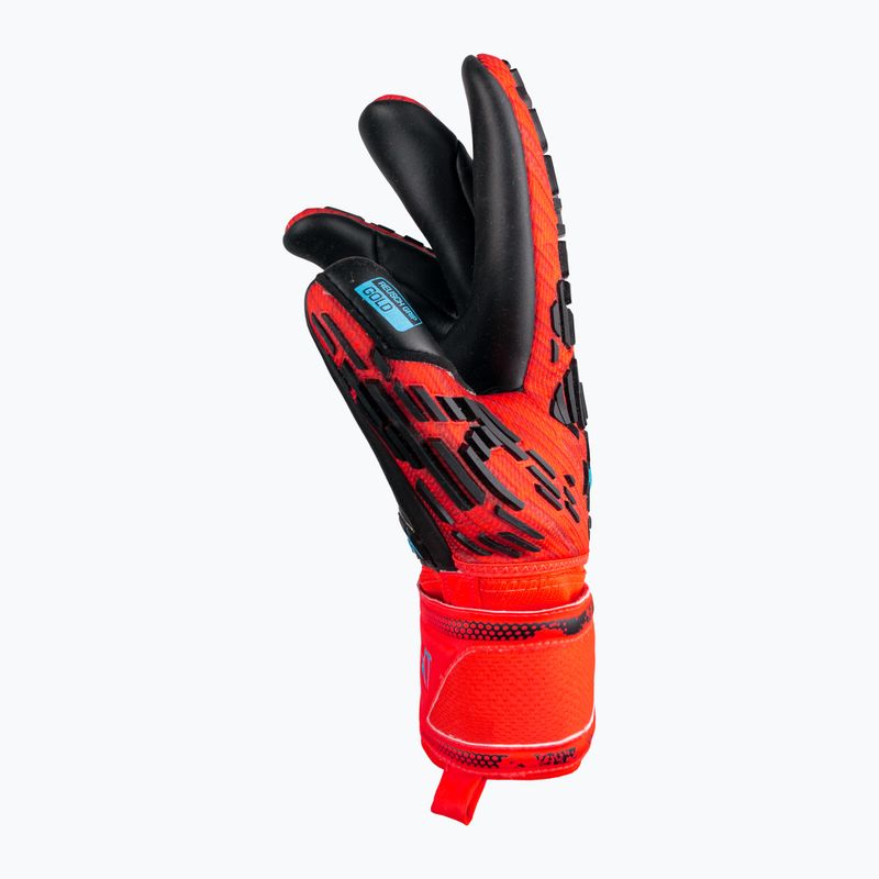 Guanti da portiere Reusch Attrakt Freegel Gold Finger Support rosso brillante/blu futuro/nero 6