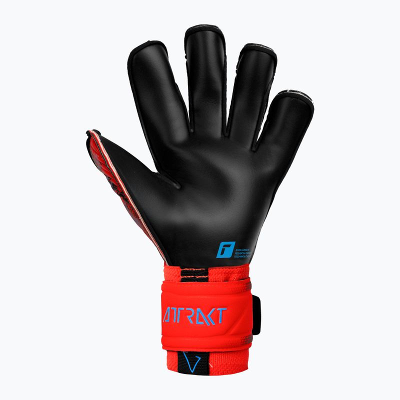 Guanti da portiere Reusch Attrakt Gold X Evolution Cut rosso brillante/blu futuro/nero 5