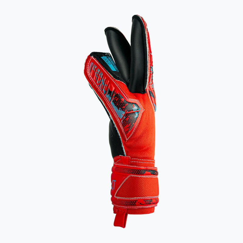 Guanto da portiere Reusch Attrakt Gold Roll Finger rosso brillante/blu futuro/nero 7