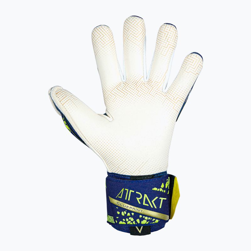 Guanti da portiere Reusch Attrakt Gold X GluePrint premium blu/oro 3