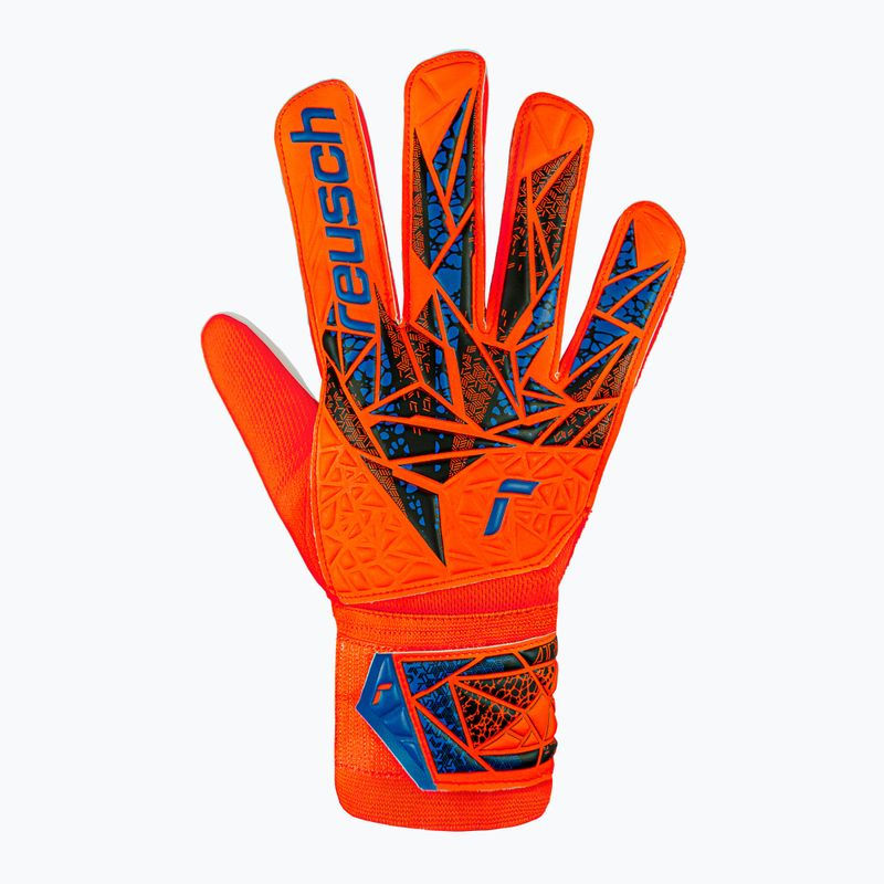 Guanti da portiere Reusch Attrakt Starter Solid rosso vivo/blu futuro 2