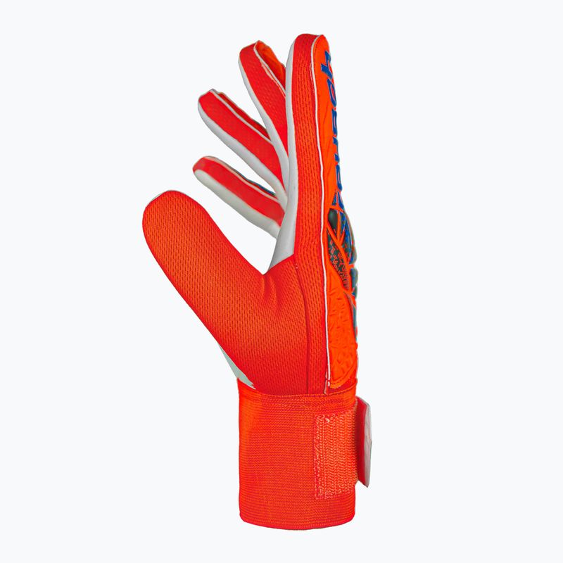 Guanti da portiere Reusch Attrakt Starter Solid rosso vivo/blu futuro 4