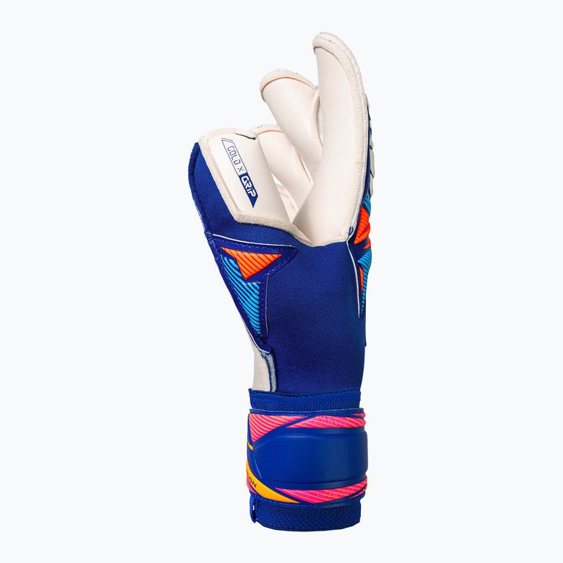 Guanti da portiere Reusch Attrakt Gold X Evolution sharp blue/white/shocking orange 4