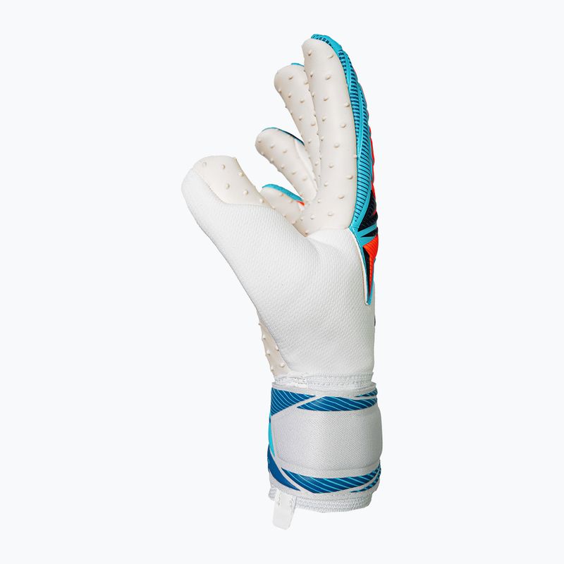 Guanti da portiere Reusch Attrakt SpeedBump white/light blue 4
