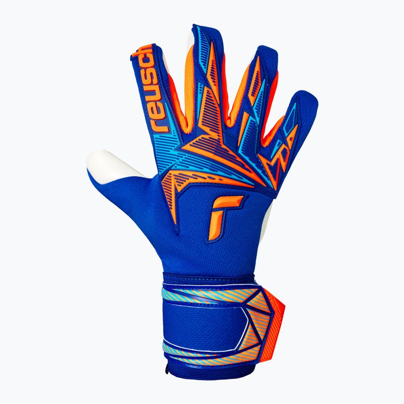 Guanti da portiere Reusch Attrakt Freegel Advance sharp blue/shocking orange 2