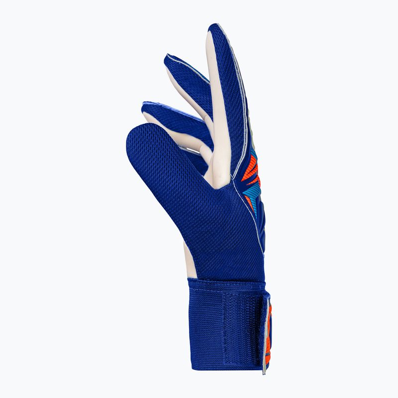 Guanti da portiere per bambini Reusch Attrakt Starter Solid Junior sharp blue/white/shocking orange 4