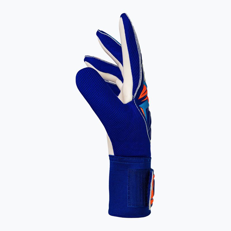 Guanti da portiere Reusch Attrakt Starter Solid sharp blue/white/shocking orange 4