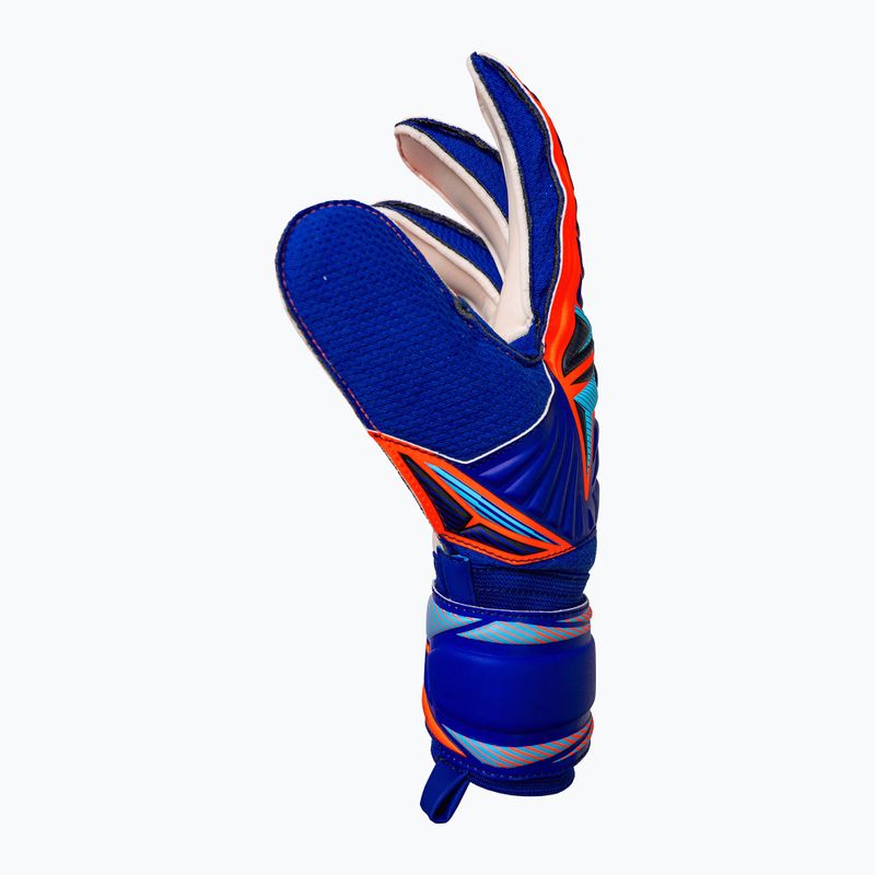 Guanti da portiere Reusch Attrakt Solid sharp blue/shocking orange 4