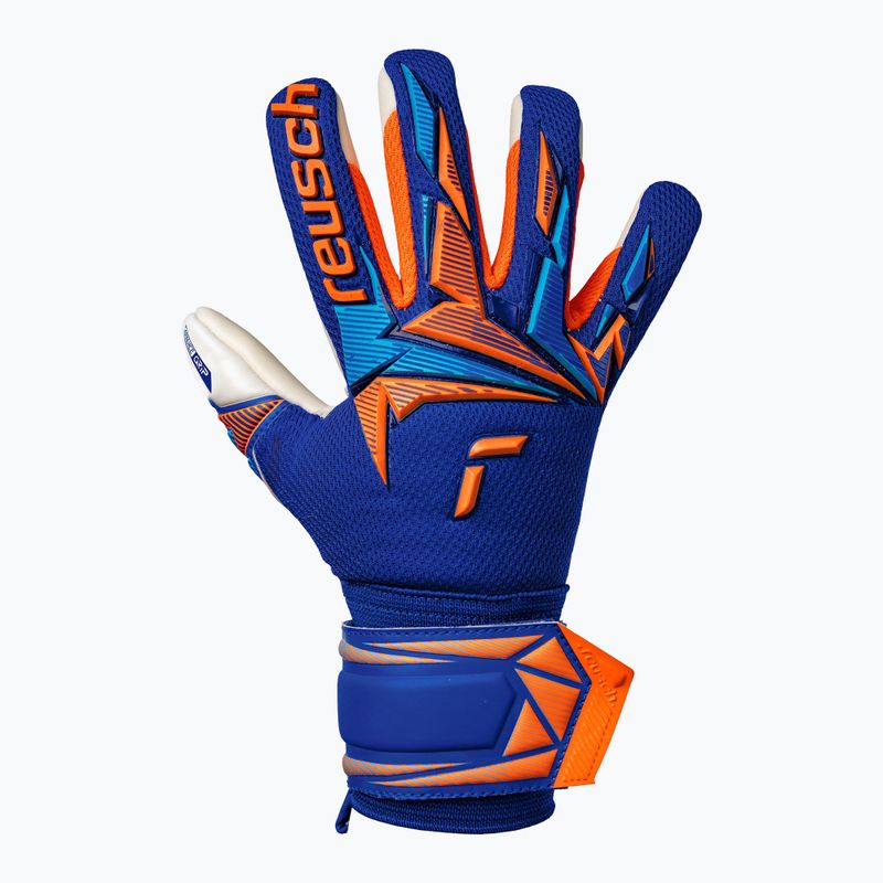 Guanti da portiere per bambini Reusch Attrakt Freegel Advance Junior sharp blue/shocking orange 2
