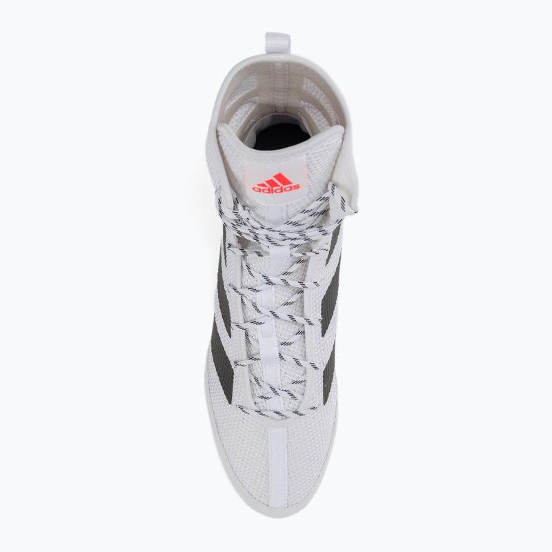 Scarpe da boxe adidas Box Hog 3 bianco e nero GV9975 6
