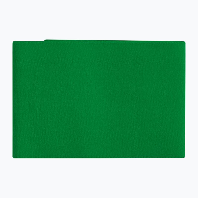 Fasce per parastinchi ERIMA Guard Stays emerald 2