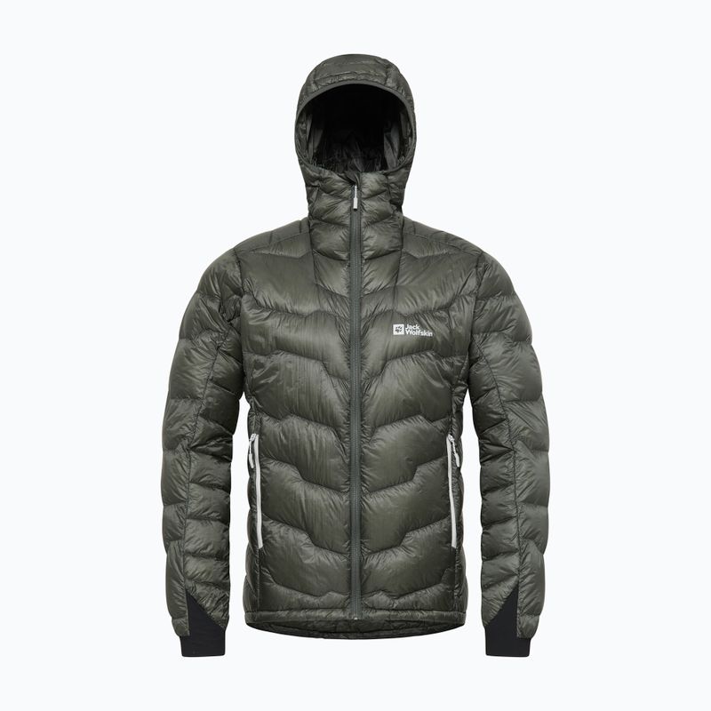Jack Wolfskin Uomo Alpspitze Down Hoody verde ardesia 7