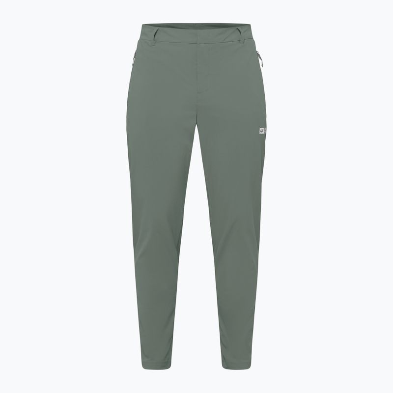Pantaloni da trekking Jack Wolfskin da uomo Hikeout verde ardesia 7