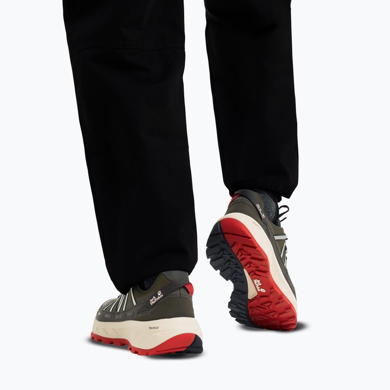 Scarpe da trekking da uomo Jack Wolfskin Wild Hike Texapore Low obsidian moss 6