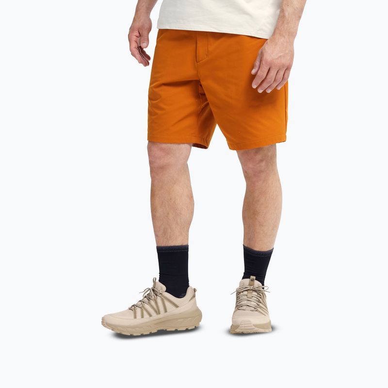 Scarpe da trekking da uomo Jack Wolfskin Wild Hike Texapore Low oyster 4