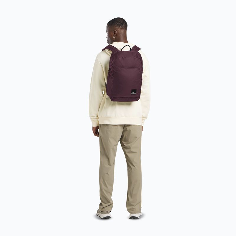 Zaino urbano Jack Wolfskin Terraview 20 l amaranth 11