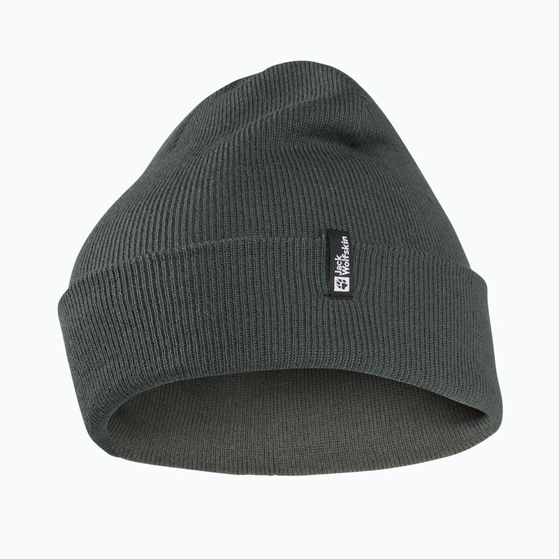 Cappello invernale Jack Wolfskin Rib verde ardesia